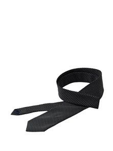 {{photo.Alt || photo.Description || 'HERMES галстук черный'}}
